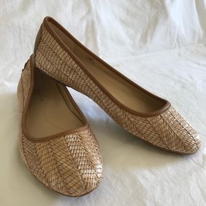 Tahari Queen Ballet Flats | New in Box